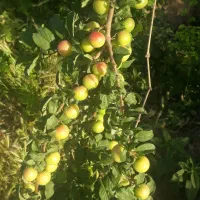 راهنمایی کنید