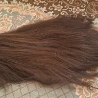 کلاه گیس|آرایشی، بهداشتی، درمانی|رشت, یخسازی|دیوار