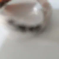 انگشتر پیدا شده