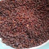 کشمش|خوردنی و آشامیدنی|اندیشه, اندیشه فاز ۲|دیوار