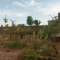 باغچه چهار دیواری 507 متر|فروش خانه و ویلا|شریف‌آباد, |دیوار