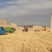 زمین برا خونه باغ|فروش زمین و ملک کلنگی|کوهدشت, |دیوار