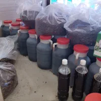 کشمش شیره انگور.طاهری