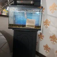 آکواریوم درحدنو