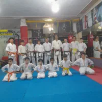 کاراته کیوکوشین