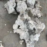 مرجان اکواریوم سفید