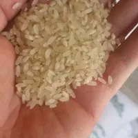 برنج درجه یک