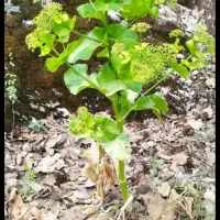 راهنمایی کار