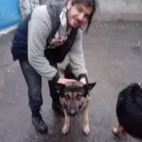 ژرمن نر فوری واکذاری میشود