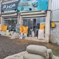 کارگر تخلیه