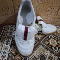 کفش سالنی TIMPO 750