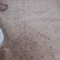 موکت ۱۲ متری پالاز