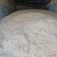 کاه گندم دیم و ابی