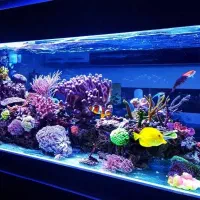 آکواریوم بزرگ