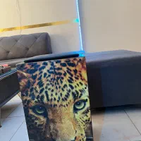 کاخن کاملا نو