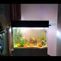 آکواریوم بسیار شکیل با درب هم شیشه هم چوب