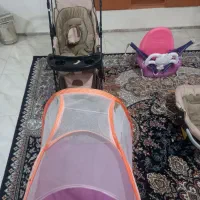 سیسمونی نوزاد