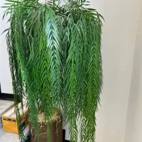 فروش بوفه و گلدان مصنوعی و کابینت و آبگرمکن|گل مصنوعی|رفسنجان, |دیوار