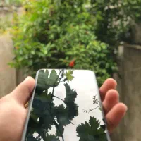 Redmond 14C 256/8|موبایل|کلاله, |دیوار