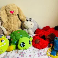 عروسک اسباب بازی|حراج|تهران, ستارخان|دیوار