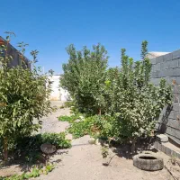 فروش خونه باغ|فروش خانه و ویلا|سیرجان, |دیوار