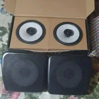 باند میدرنج سوپر تویتر قیمت فوری به شرط تست