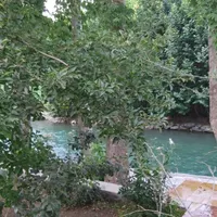 اجاره ویلاسوئیت درباغبهادران باغ‌بهادران باغبادران|اجارهٔ کوتاه‌مدت ویلا و باغ|اصفهان, بوستان آینه خانه|دیوار