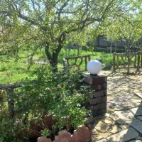 فروش-باغ-در-حیدره