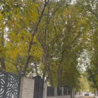 باغ با سند تک برگ/مناسب ساخت ویلا
