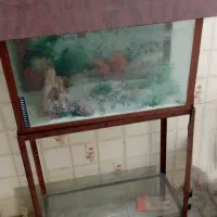 آکواریوم