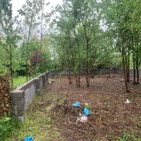 زمین خوش‌قواره و تمام مسکونی|فروش زمین و ملک کلنگی|لاهیجان, بازکیاگوراب|دیوار