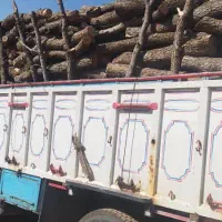 خریدار  انواع چوب