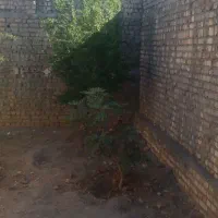 سوله ۱۸۰متری|فروش دفتر صنعتی، کشاورزی، تجاری|قنوات, |دیوار