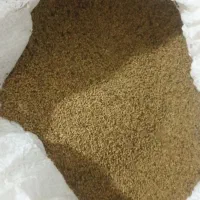 بذر یونجه درجه یک|خدمات باغبانی و درختکاری|میاندوآب, |دیوار