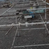 دستگاه پرورش قارچ و قفسه|فروشگاه و مغازه|عطاملک, |دیوار