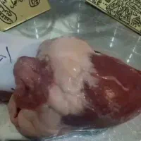 دل گوسفند