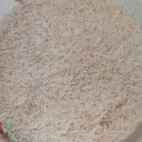 برنج درجه یک کشت دوم ( دونوج)