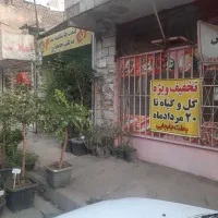 حراج گل و گیاه طبیعی