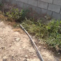 زمین باغچه|فروش زمین و ملک کلنگی|شوشتر, |دیوار