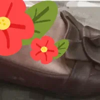 کالج|کیف، کفش، کمربند|آستانه اشرفیه, |دیوار