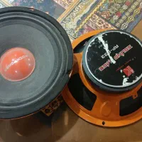 میدرنج سایز۸