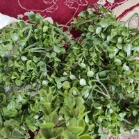 وسایل گل|گل مصنوعی|اصفهان, پوریای ولی|دیوار