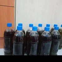 فروش روغن زیتون ناب مینودشت|خوردنی و آشامیدنی|مینودشت, |دیوار