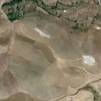 باغ
