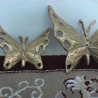 پروانه برنز