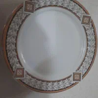 دو دست بشقاب پلو خوری