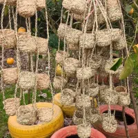 صنایع دستی ،حصیر بافی|صنایع دستی و سایر لوازم تزئینی|رشت, بلوار گیلان|دیوار