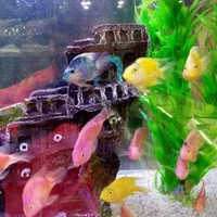 آکواریوم و ماهی فروشی محمدشهر