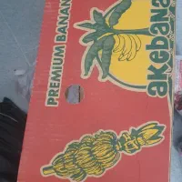 کارتن موزی برای اساس کشی