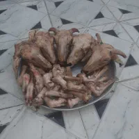 کله پاچه بره ۵۰۰ هزار تومان|خوردنی و آشامیدنی|خرمشهر, |دیوار